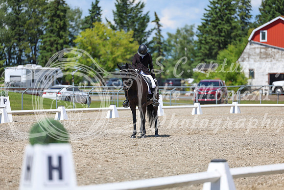 13702 - 2026 Dressage Festival - Sunday July 5th
