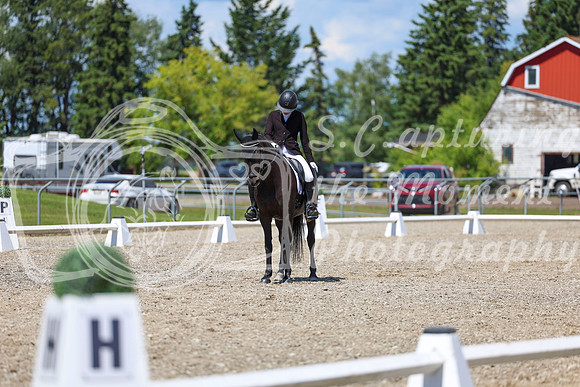 13706 - 2026 Dressage Festival - Sunday July 5th