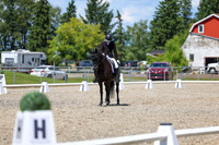 13707 - 2026 Dressage Festival - Sunday July 5th