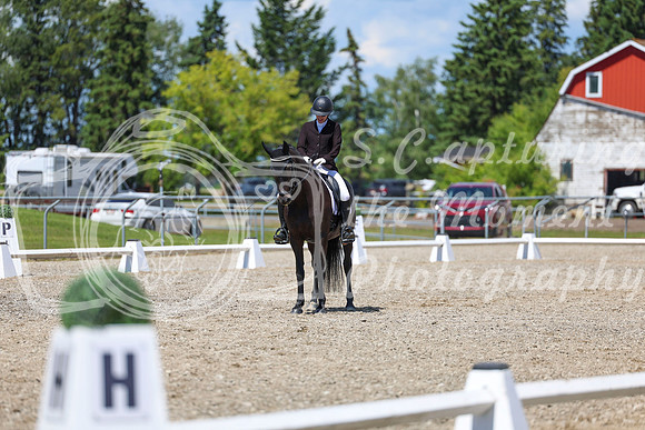 13711 - 2026 Dressage Festival - Sunday July 5th