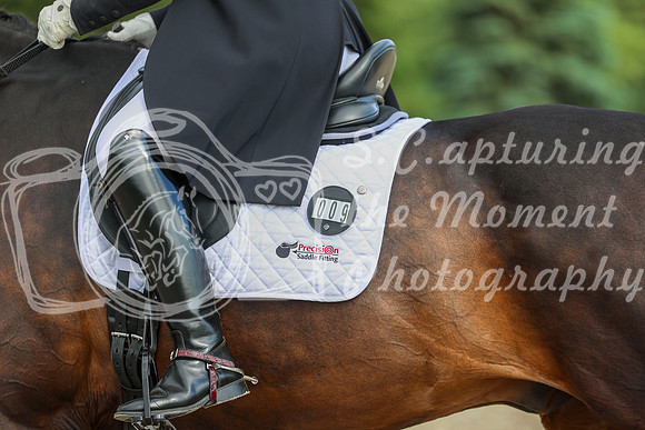 02060 - 2026 Dressage Festival - Sunday July 5th