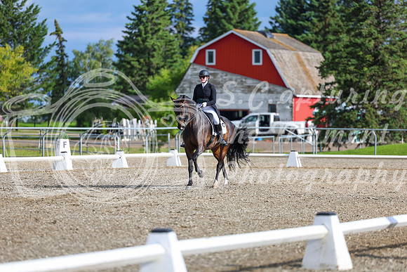 02066 - 2026 Dressage Festival - Sunday July 5th
