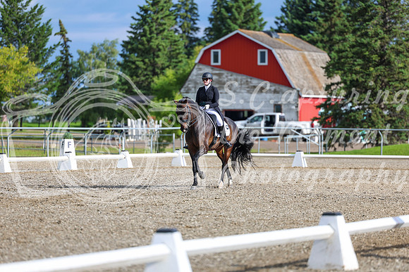 02067 - 2026 Dressage Festival - Sunday July 5th