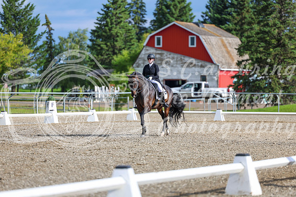 02068 - 2026 Dressage Festival - Sunday July 5th