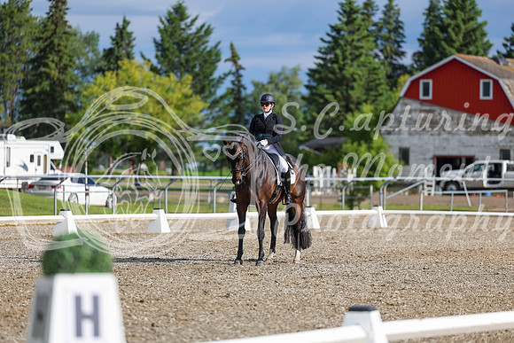 02069 - 2026 Dressage Festival - Sunday July 5th