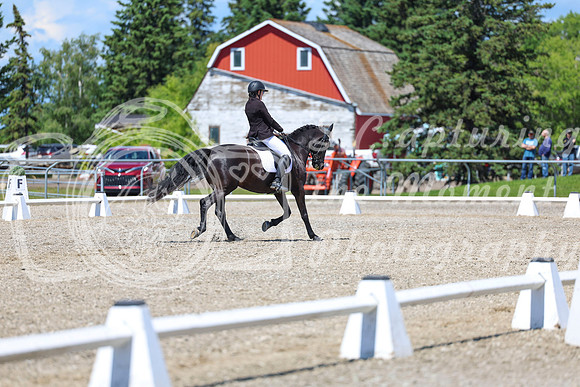 13744 - 2026 Dressage Festival - Sunday July 5th