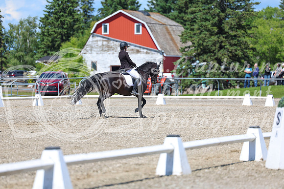 13746 - 2026 Dressage Festival - Sunday July 5th
