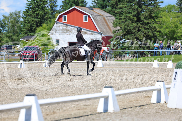 13747 - 2026 Dressage Festival - Sunday July 5th