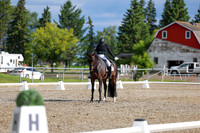 02073 - 2026 Dressage Festival - Sunday July 5th