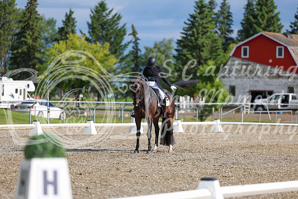 02073 - 2026 Dressage Festival - Sunday July 5th