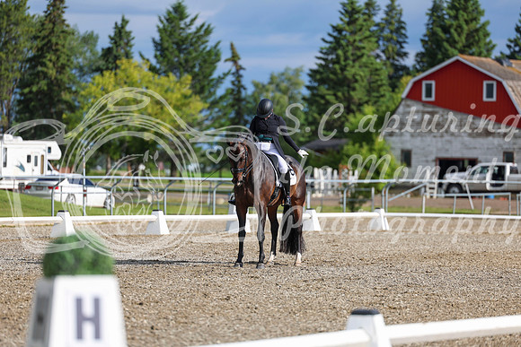 02074 - 2026 Dressage Festival - Sunday July 5th