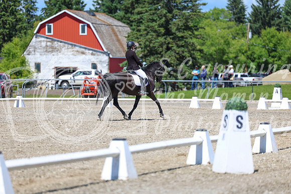 13748 - 2026 Dressage Festival - Sunday July 5th