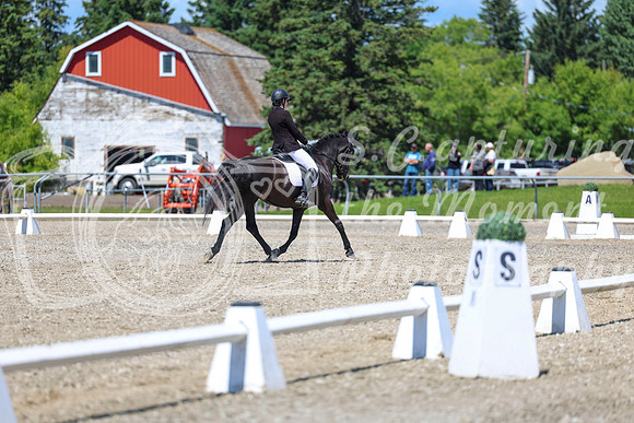 13749 - 2026 Dressage Festival - Sunday July 5th