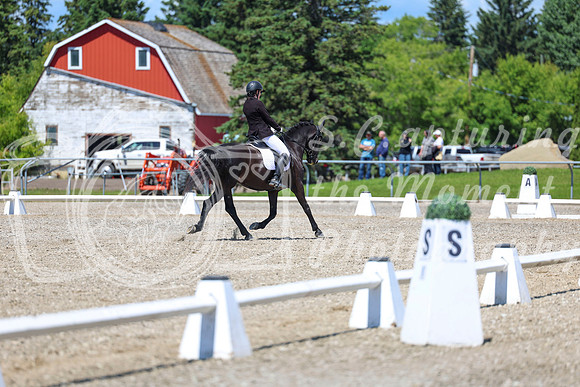 13750 - 2026 Dressage Festival - Sunday July 5th