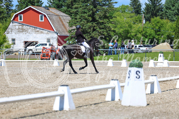 13751 - 2026 Dressage Festival - Sunday July 5th