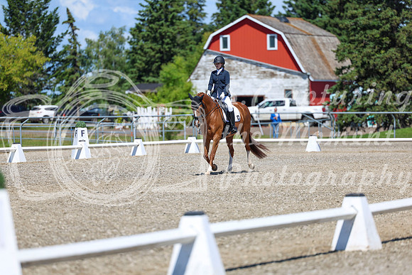 11647 - 2026 Dressage Festival - Sunday July 5th