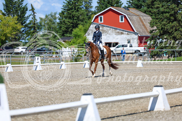 11648 - 2026 Dressage Festival - Sunday July 5th