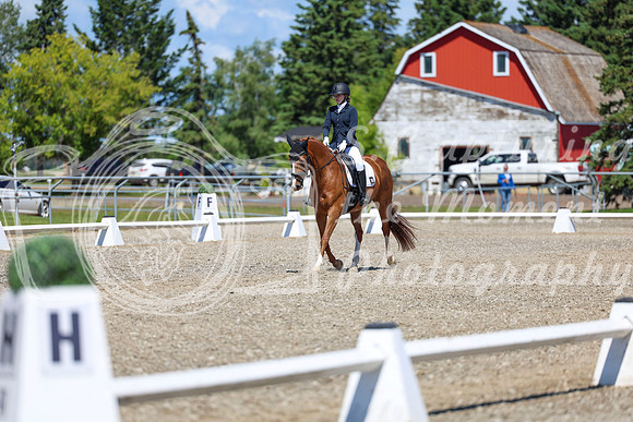 11650 - 2026 Dressage Festival - Sunday July 5th