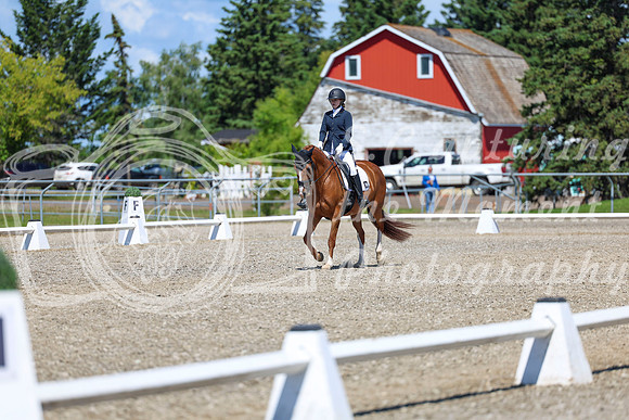 11649 - 2026 Dressage Festival - Sunday July 5th