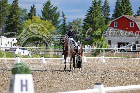 02078 - 2026 Dressage Festival - Sunday July 5th