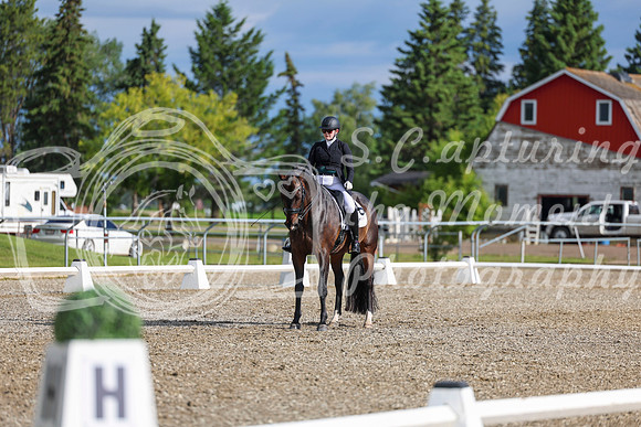 02080 - 2026 Dressage Festival - Sunday July 5th