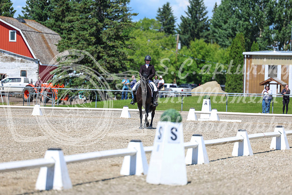 13754 - 2026 Dressage Festival - Sunday July 5th