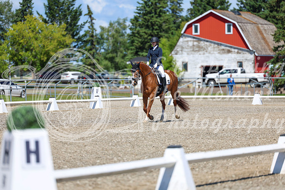 11651 - 2026 Dressage Festival - Sunday July 5th