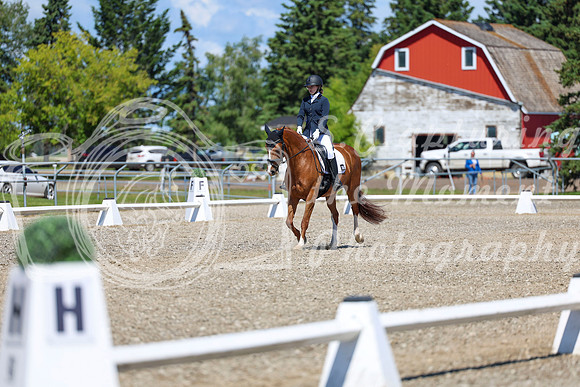 11652 - 2026 Dressage Festival - Sunday July 5th