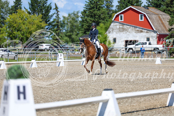11653 - 2026 Dressage Festival - Sunday July 5th