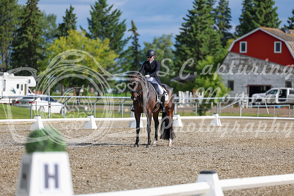 02081 - 2026 Dressage Festival - Sunday July 5th