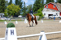 11654 - 2026 Dressage Festival - Sunday July 5th