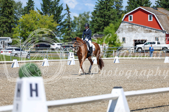 11654 - 2026 Dressage Festival - Sunday July 5th