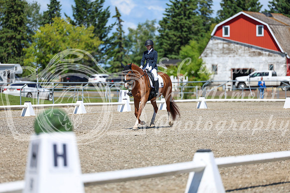 11655 - 2026 Dressage Festival - Sunday July 5th