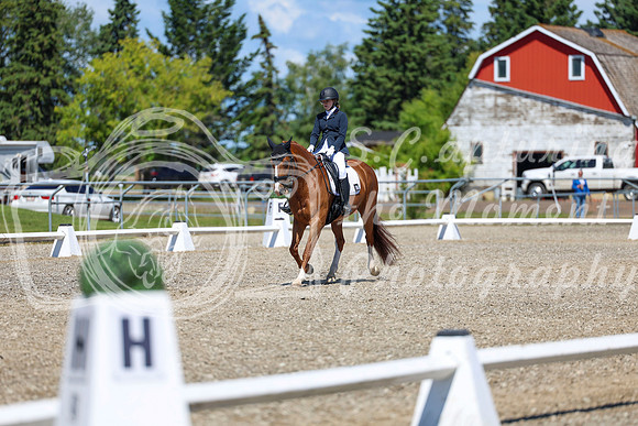 11656 - 2026 Dressage Festival - Sunday July 5th