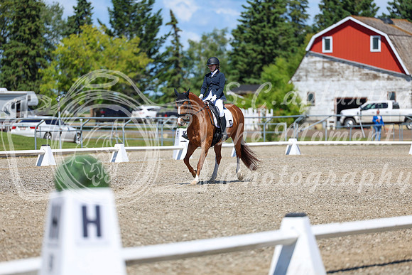 11657 - 2026 Dressage Festival - Sunday July 5th