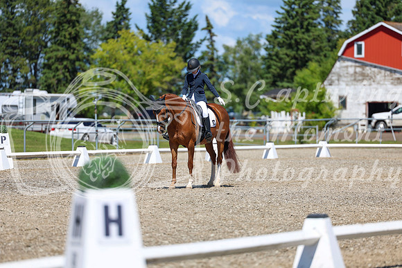 11660 - 2026 Dressage Festival - Sunday July 5th