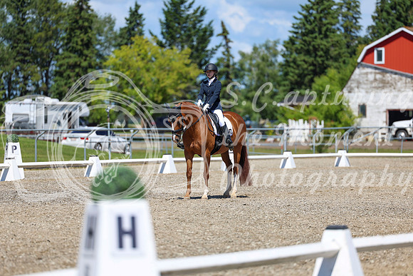 11662 - 2026 Dressage Festival - Sunday July 5th