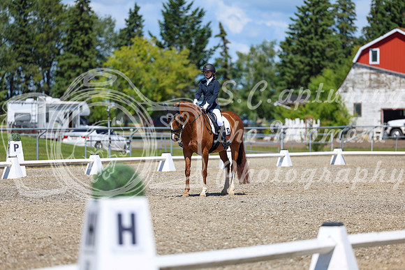 11664 - 2026 Dressage Festival - Sunday July 5th