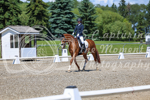 11687 - 2026 Dressage Festival - Sunday July 5th