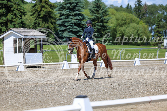11688 - 2026 Dressage Festival - Sunday July 5th