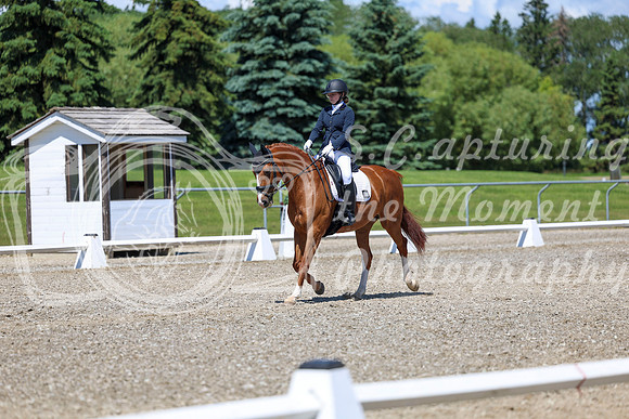 11690 - 2026 Dressage Festival - Sunday July 5th