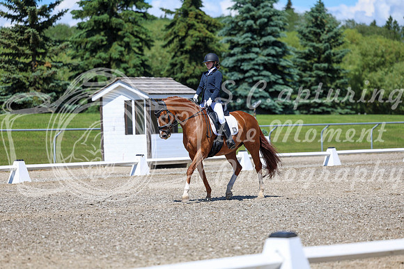 11691 - 2026 Dressage Festival - Sunday July 5th