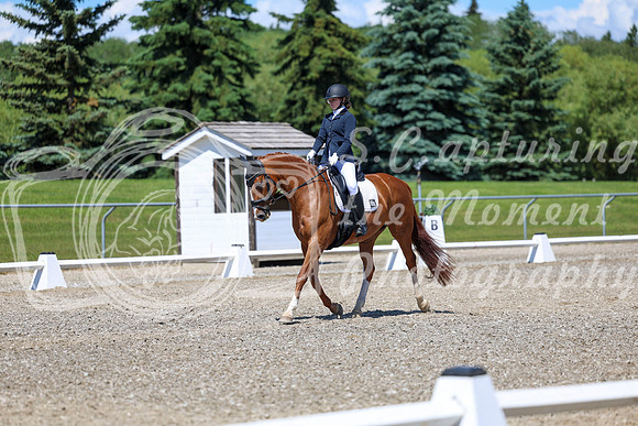 11693 - 2026 Dressage Festival - Sunday July 5th