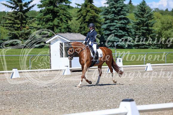11694 - 2026 Dressage Festival - Sunday July 5th