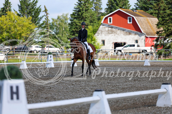 05984 - 2026 Dressage Festival - Sunday July 5th
