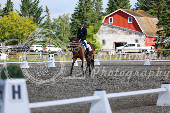 05986 - 2026 Dressage Festival - Sunday July 5th