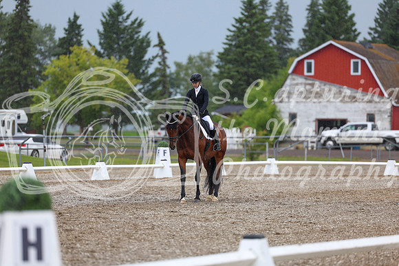03547 - 2026 Dressage Festival - Sunday July 5th