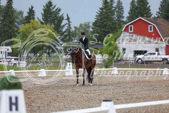 03548 - 2026 Dressage Festival - Sunday July 5th