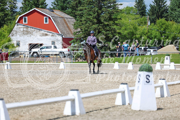 14580 - 2026 Dressage Festival - Sunday July 5th