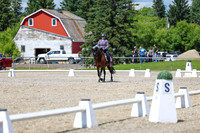 14583 - 2026 Dressage Festival - Sunday July 5th